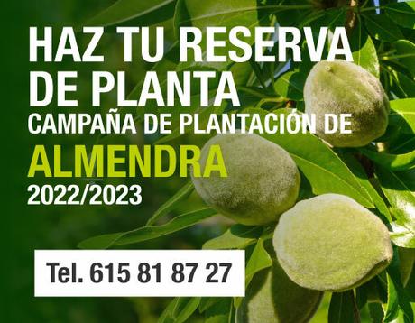 Campaña plantación almendra 22-23 Esla Agroforestales