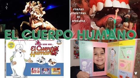 Maneras divertidas de estudiar el cuerpo humano