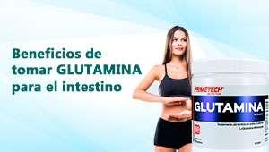 Beneficios de tomar glutamina para el intestino