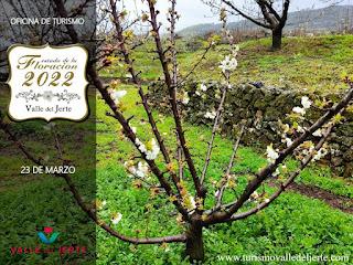 La floración ha comenzado en el Valle del Jerte y las cascadas lucen espectaculares