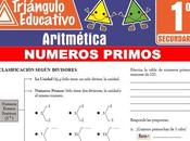Números Primos para Primero Secundaria