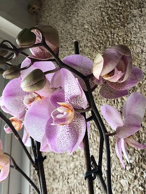 Entre cafés.- Nos ponemos al día