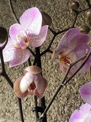 Entre cafés.- Nos ponemos al día