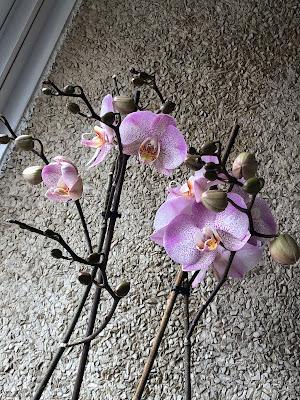 Entre cafés.- Nos ponemos al día