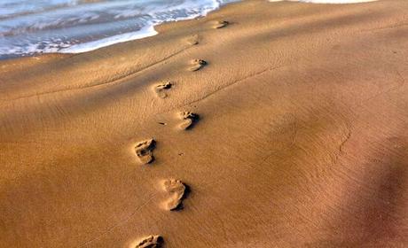 Hasta llegar a la meta, cada paso cuenta. Hasta llegar a la meta, cada paso cuenta.