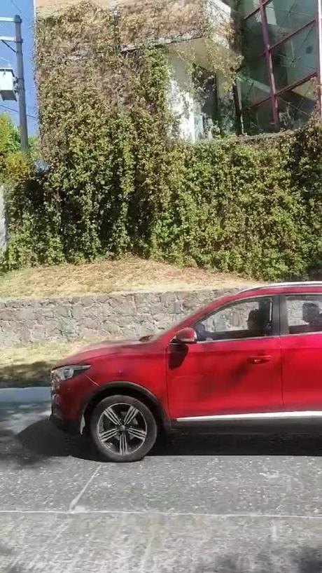 (Vídeo): Abandonan perro en el Bulevard Río Santiago