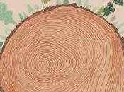 clamor bosques", Richard Powers (2018).