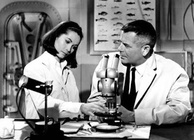 PASOS DEL DESTINO, LOS (Fate Is the Hunter) (USA, 1964) Intriga, Melodrama