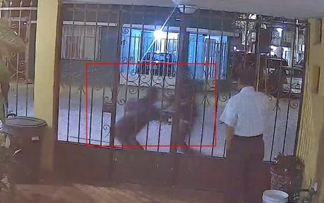 (Video) Secuestran a mujer en la colonia Los Álamos