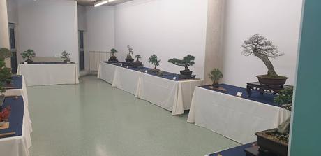 Associacio Bonsai del Vallès : Can Palet 2022