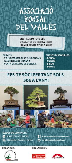 Associacio Bonsai del Vallès : Can Palet 2022