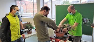 Associacio Bonsai del Vallès : Can Palet 2022