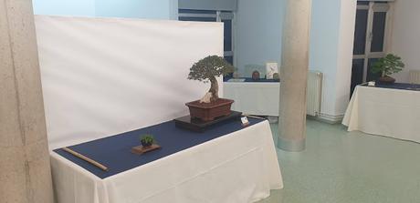 Associacio Bonsai del Vallès : Can Palet 2022