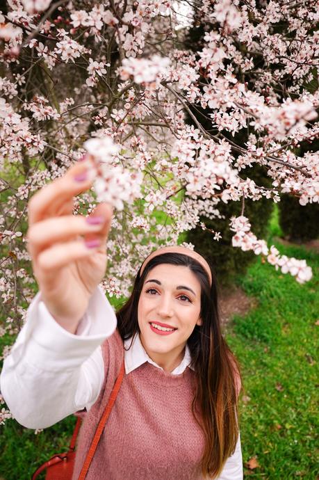 Primeras flores de primavera