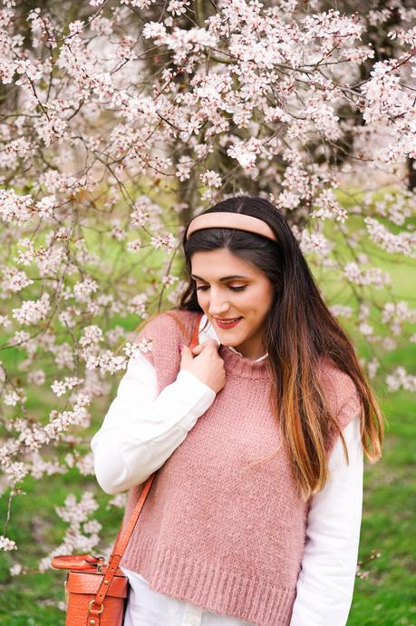 Primeras flores de primavera