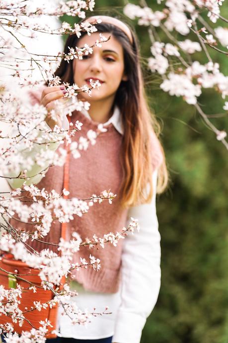 Primeras flores de primavera