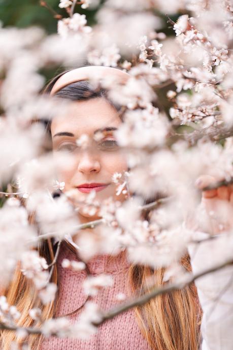 Primeras flores de primavera