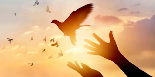 En Semana Santa, buscando la Paz En Semana Santa, buscando la Paz