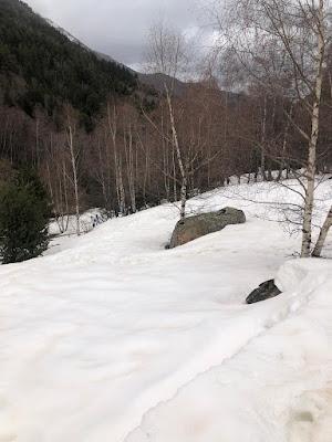 Viaje de Fin de Curso: Sort- Lleida - Andorra