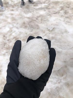 Viaje de Fin de Curso: Sort- Lleida - Andorra Viaje de Fin de Curso: Sort- Lleida - Andorra