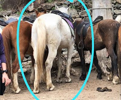 Viaje de Fin de Curso: Sort- Lleida - Andorra Viaje de Fin de Curso: Sort- Lleida - Andorra