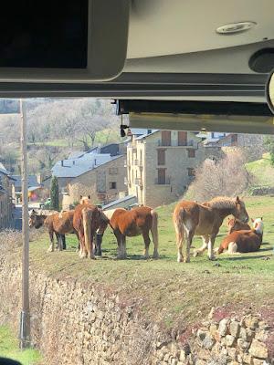 Viaje de Fin de Curso: Sort- Lleida - Andorra Viaje de Fin de Curso: Sort- Lleida - Andorra