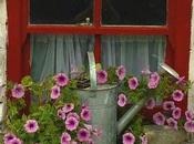 Primavera, flores.