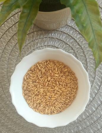 3 Cereales Saludables ricos en Proteínas