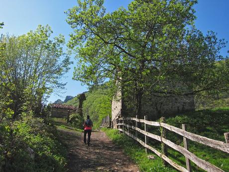 Peña Melera y Los Pandos desde Felechosa.