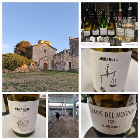 AT ROCA - DO.PENEDÈS