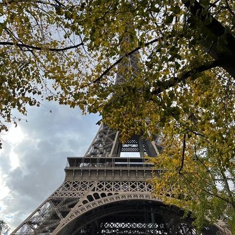 FOTOS PECOSAS: TOUR EIFFEL