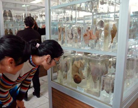 7 museos mĂĄs espeluznantes del mundo