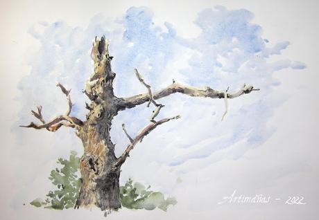 Acuarelas y dibujos marzo 2022 Acuarelas y dibujos marzo 2022