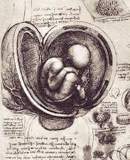 CONOCIENDO A LEONARDO DA VINCI