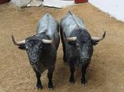 Lotes