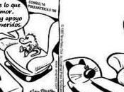 Psiquiatría animales
