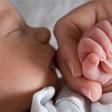 instinto maternal