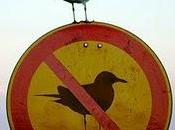 ¿Debemos obedecer leyes injustas?