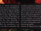 Luces Decibelios