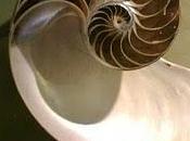 Fotografía Matemática.