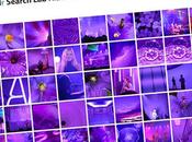 Multicolr Search buscador imágenes color Flickr