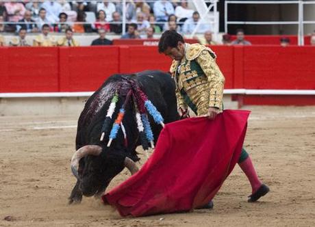 No pienso defender los toros