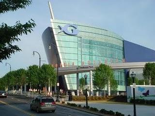 Georgia Aquarium: Cuando todo el mar cabe en una pecera