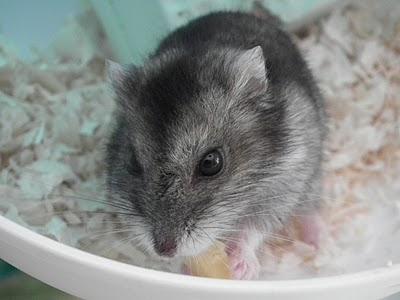 Una papelera con mucho sentimiento...