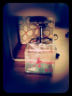 Una papelera con mucho sentimiento...