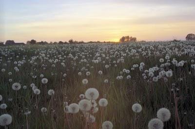 Reflexión visual #011-101130