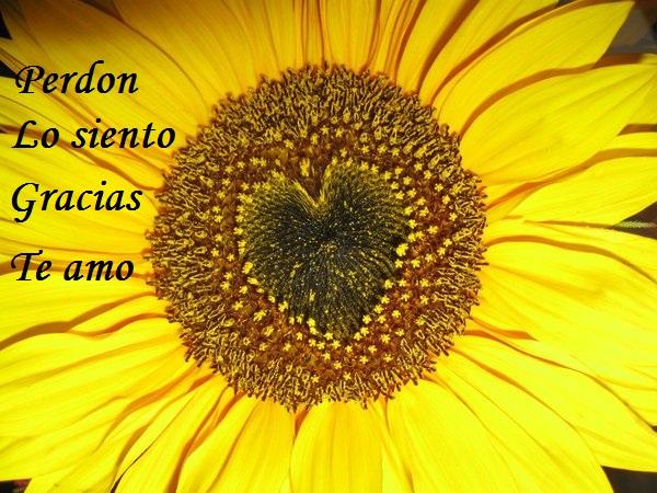 Reflexión visual #011-101130