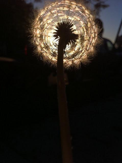 Reflexión visual #011-101130