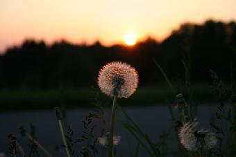 Reflexión visual #011-101130