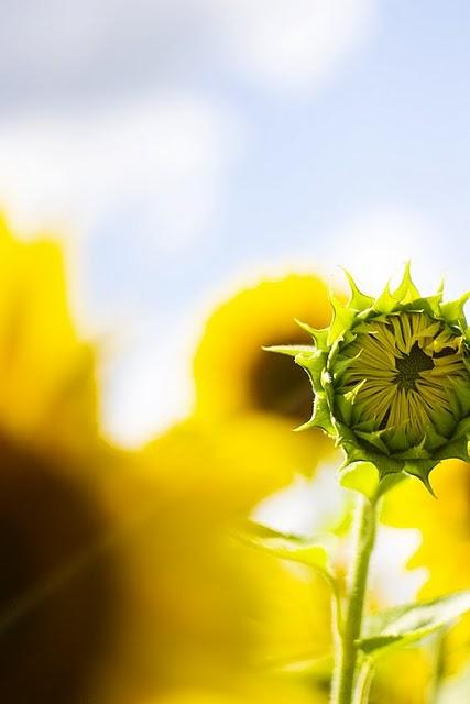 Reflexión visual #011-101130